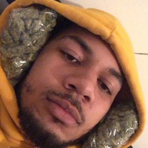 Meet your Posher, Dante